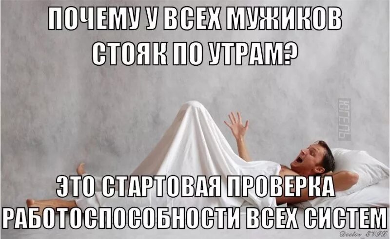 Утренняя эрекция: причины появления и почему отсутствует