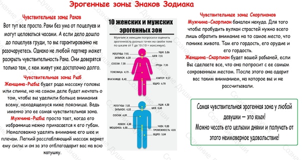 Камасутра по гороскопу Какие позы и эрогенные зоны по знакам зодиака у женщин