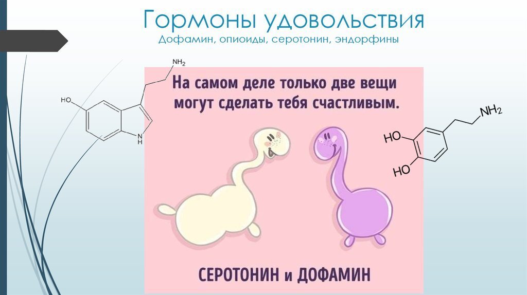Любовь с первого взгляда: бывает или нет | extraman