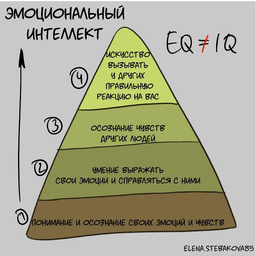 15 видов интиллекта: в каких из них вы преуспеваете?