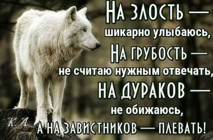 Вас оскорбили в интернете. как наказать обидчика по закону?