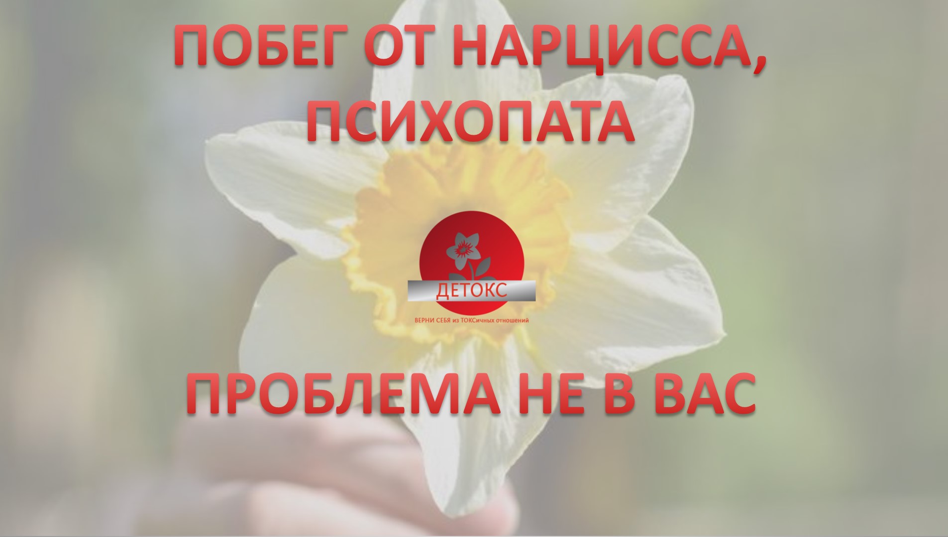 В лучах суперзвезды: как правильно вести себя с мужчиной – прирождённым нарциссом