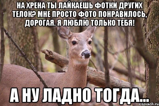 Навязчивый поклонник: 8 советов, как от него избавиться: новости, отношения, психология, девушки, советы, любовь и семья