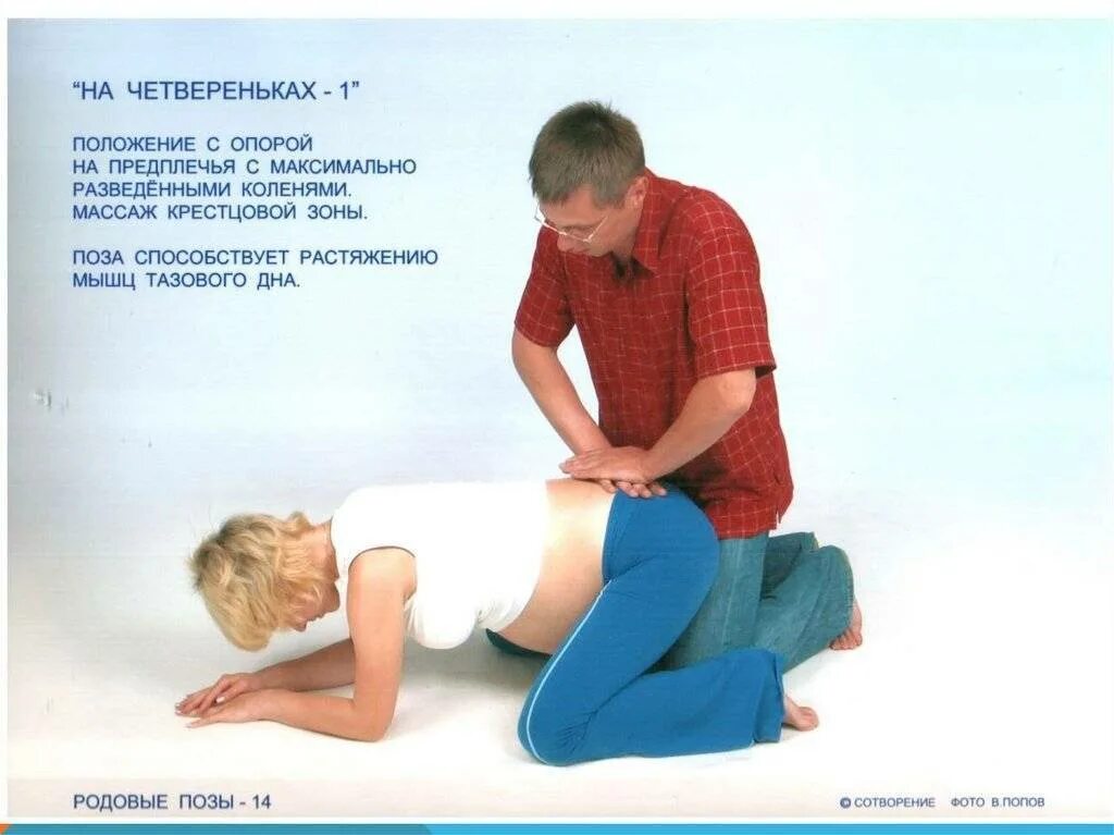 Поза «doggy-style» — техника секса, плюсы и минусы