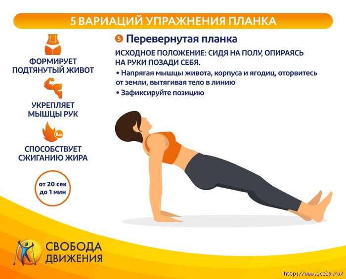 Упражнение планка: как правильно делать