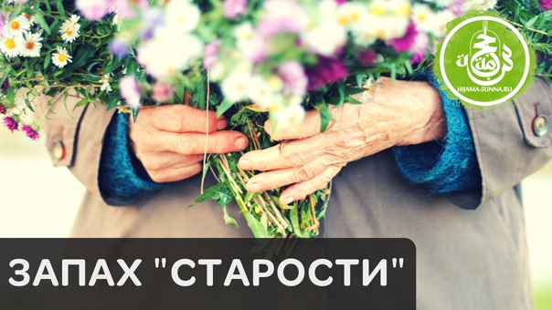 Запах от пожилых людей: причины стойкого аромата