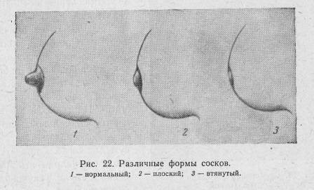 Каким был идеал женской груди в разные времена? часть 2: возрождённая и галантная