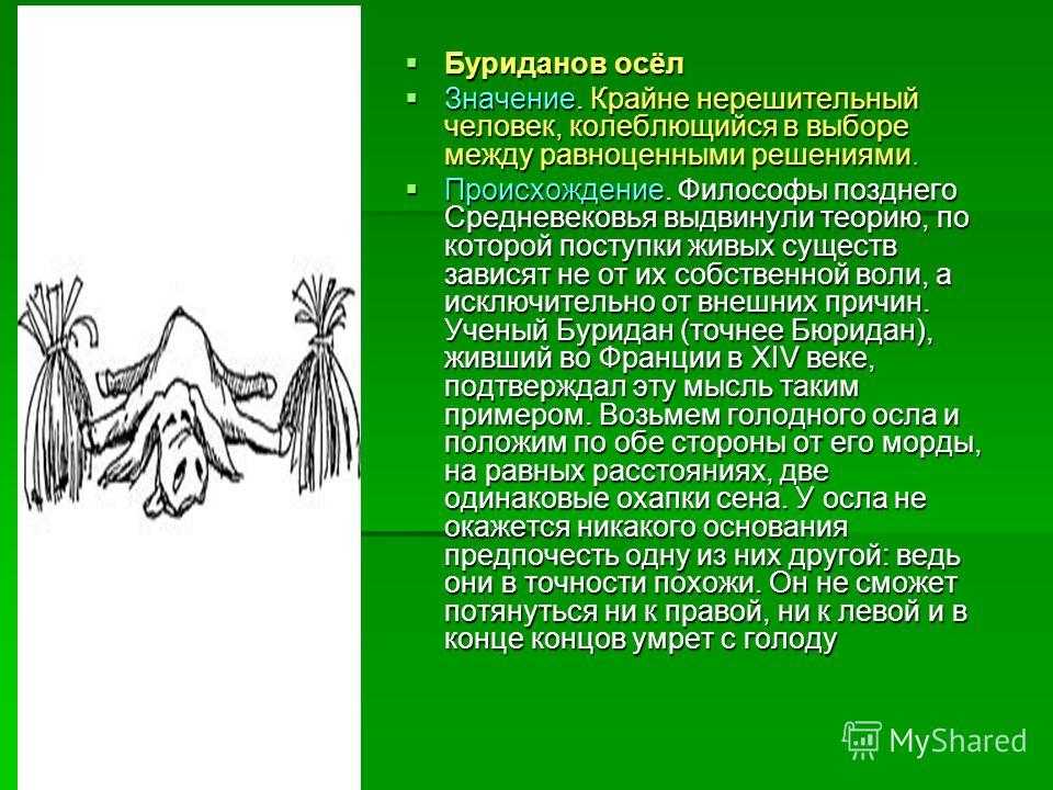 Как сесть на шпагат в домашних условиях - эффективная растяжка ног
