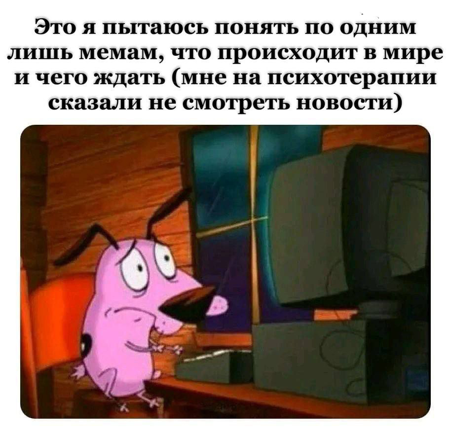 Как не перегореть от бесконечной учёбы и подготовки | сила лиса