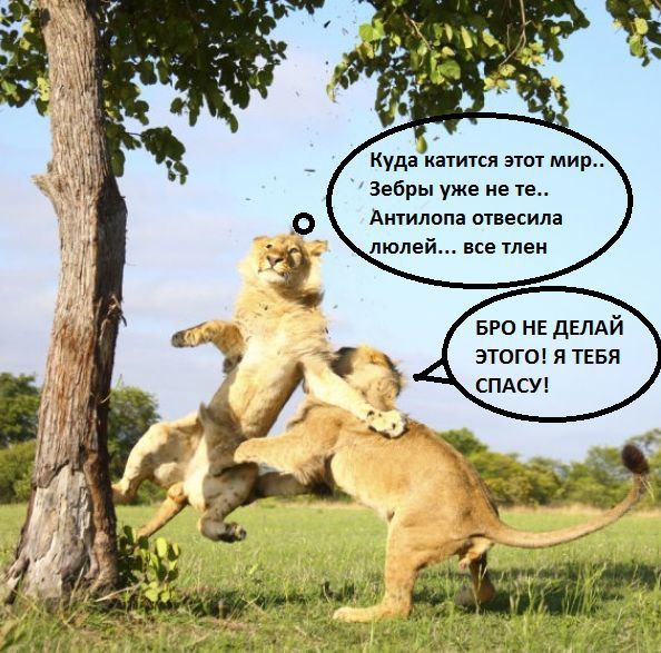 Идеальная жена: екатерина попова рассказывает, о ком мечтают мужчины — женский гид