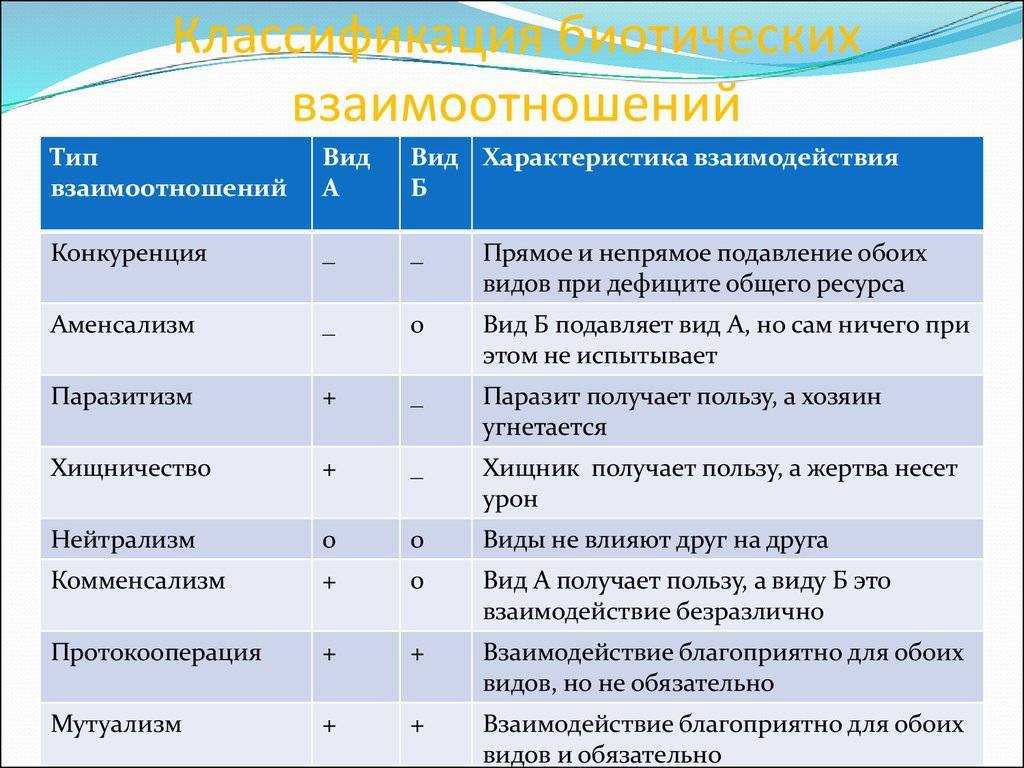 50 различных типов пар, о которых вы должны знать
