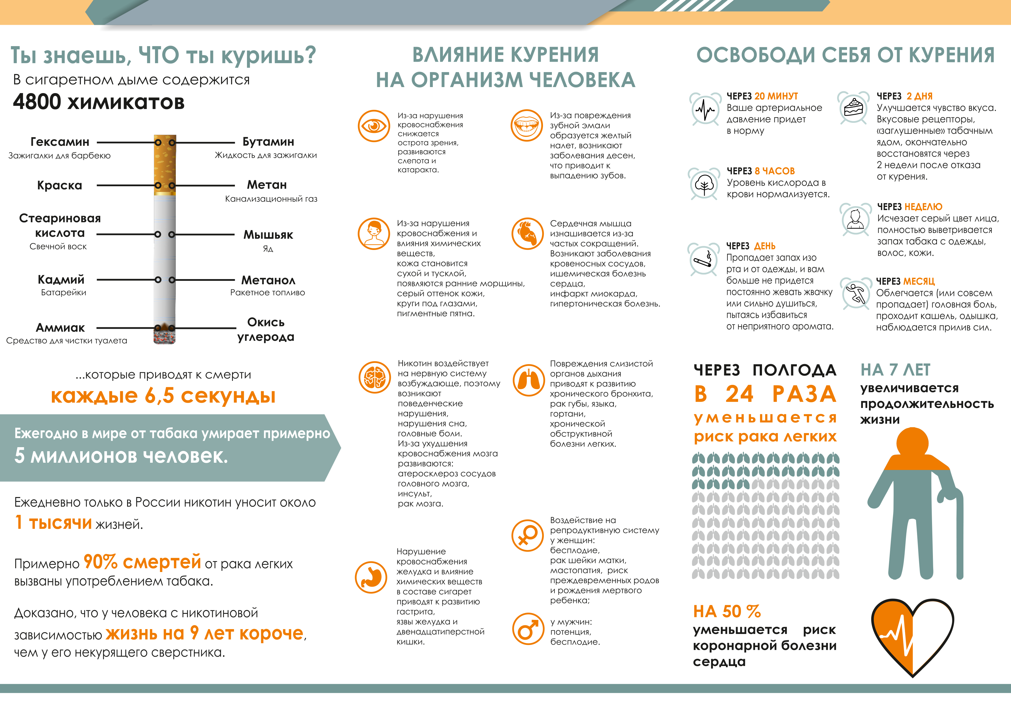 Отказ от курения по дням, изменения в организме