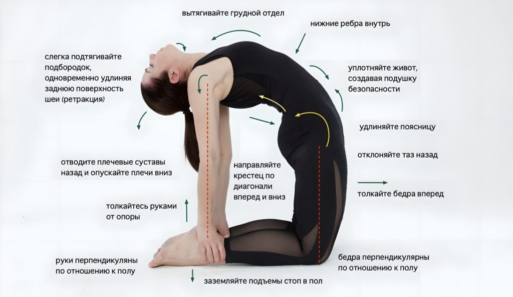 Упражнения на грудные мышцы: обзор лучших и самых эффективных