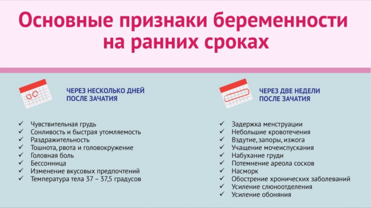 Как распознать первые признаки беременности до задержки – подробный обзор — заболевания, требующие особого внимания: причины, лечение, рекомендации