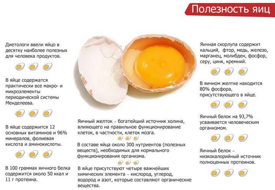 Сколько куриных яиц можно съедать в день без вреда здоровью