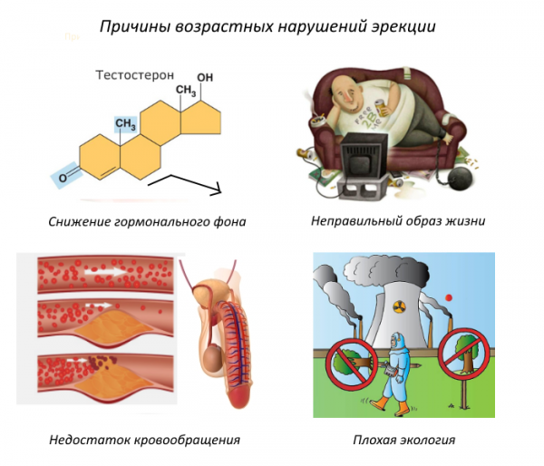 Утренняя эрекция: почему у мужчин утром стоит член