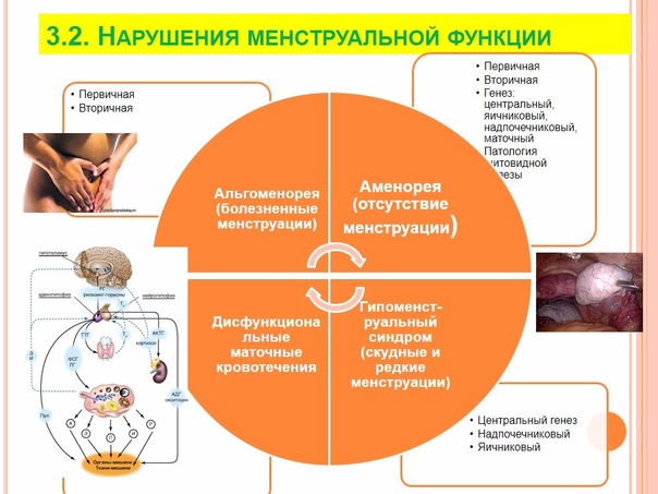 Что сделать чтобы месячные быстрей прошли или не начинались? отказ от менструации: наше будущее или опасный тренд.