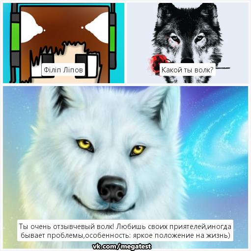 Тест «какая ты кошка»: раскроет твои тайные черты характера