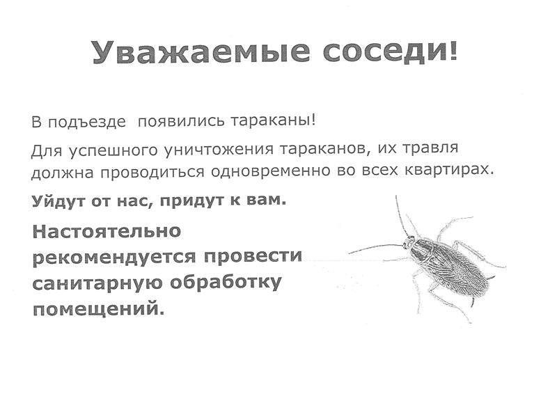 У соседей тараканы, которые отравляют вашу жизнь узнайте куда жаловаться, чтобы прекратить это безобразие!