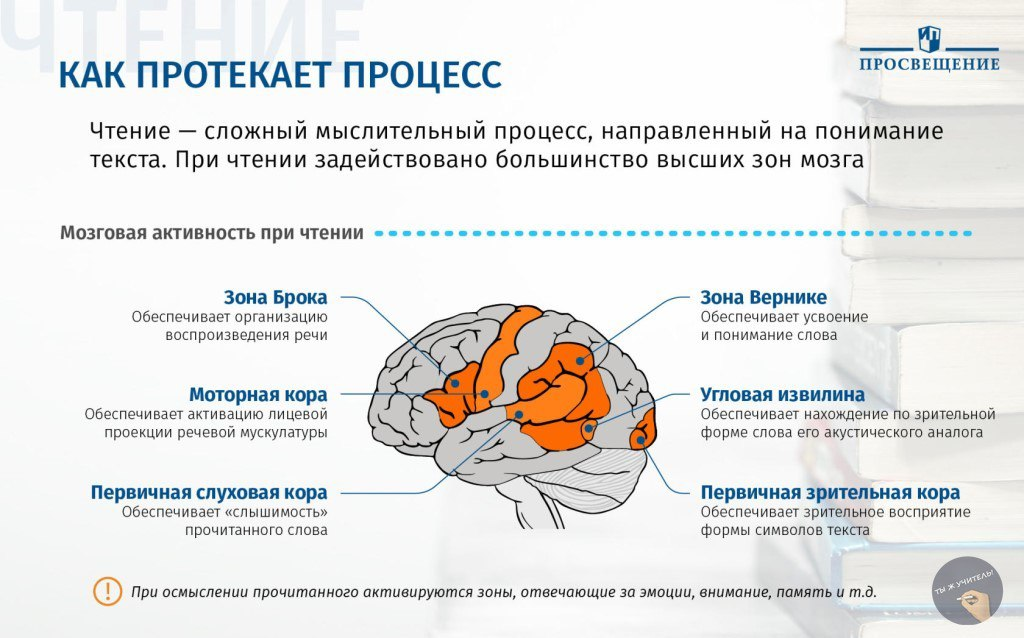 “за 10 дней вся жизнь перевернулась” | рансан центр
