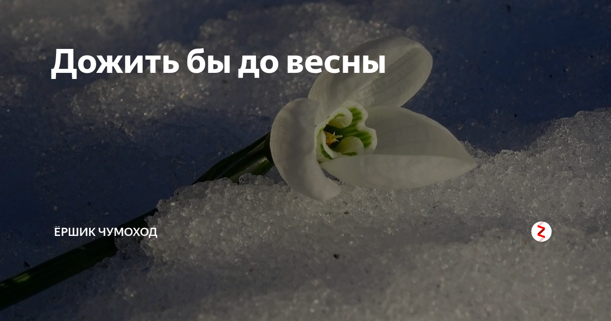 Как собраться с новыми силами и начать действовать женщине