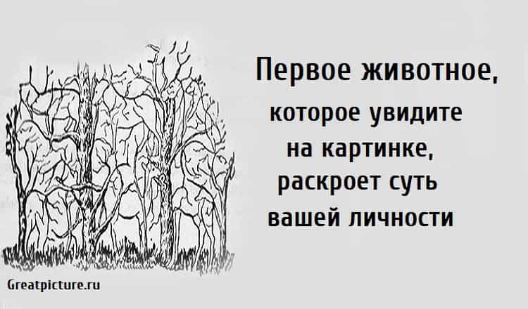 Лучшие тесты по картинкам
