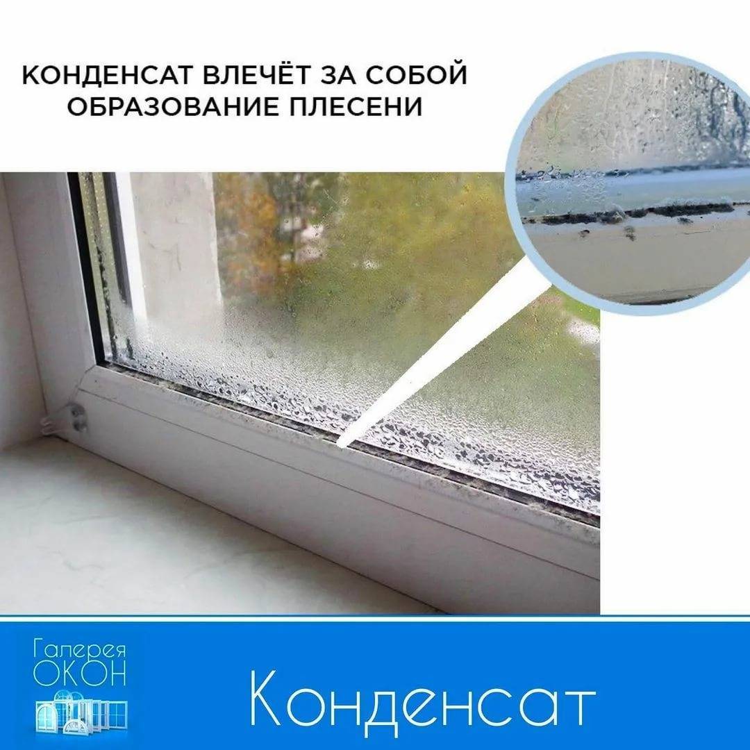 Плесень на пластиковых окнах и откосах: как бороться и избежать появления снова