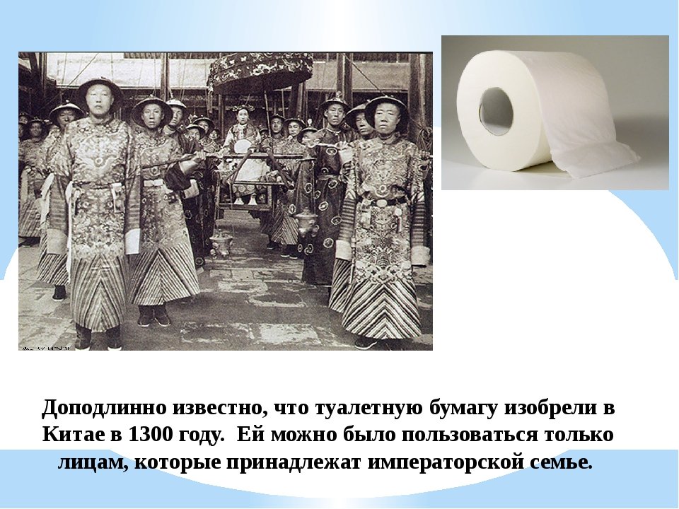 Палки, мох и труды философов: чем подтиралось человечество от древности до наших дней