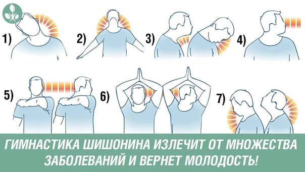 Гимнастика шишонина при гипертонии: для шеи без музыки, лечение, секреты доктора и полный курс упражнений