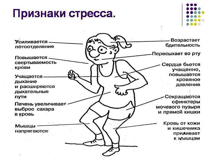 У строгих родителей вырастают успешные дети, а у добреньких — разгильдяи. плюсы и минусы строгого воспитания