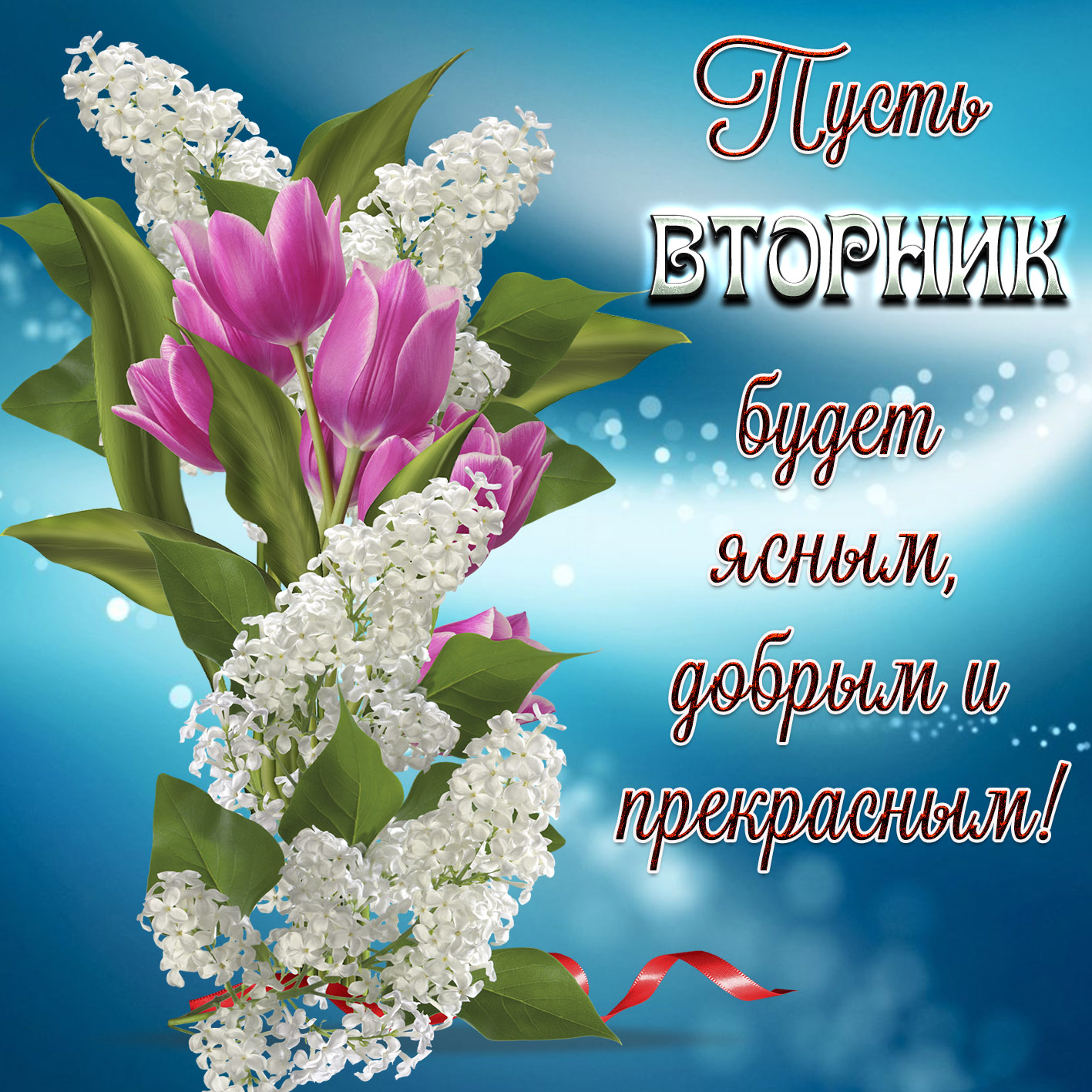 Счастливый вторник 100 фраз + изображения / другие фразы | thpanorama - сделайте себя лучше уже сегодня!