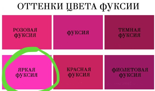 Кто придумал, что розовый цвет для девочек, а голубой для мальчиков