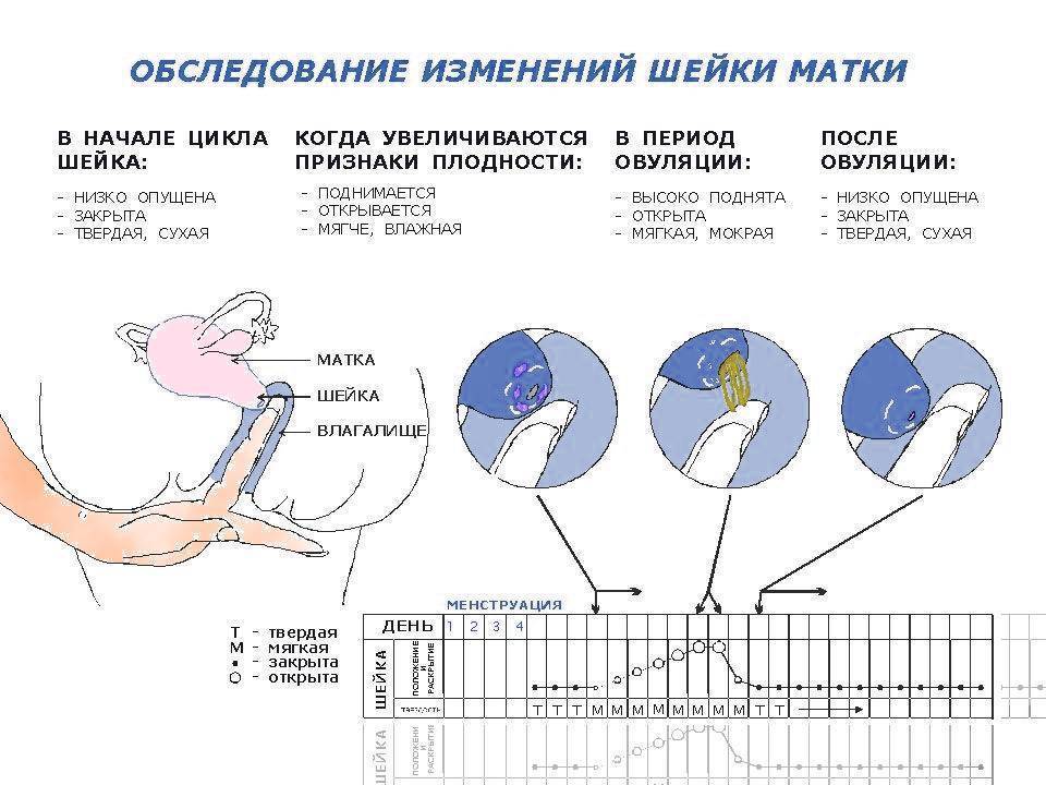 Можно ли мастурбировать при беременности струей воды