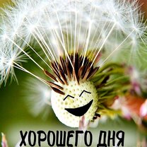 Какие 7 самых чувствительных частей тела при прикосновении?