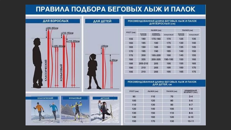 Как выбрать лыжи? инструкция для начинающих - training365.ru