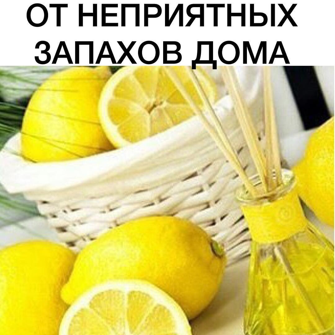 12 признаков скрытой плесени в доме, из-за которой вы болеете