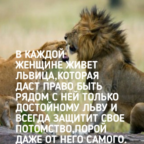 Лидия раевская - это ктой-та к нам приехал читать книгу онлайн бесплатно