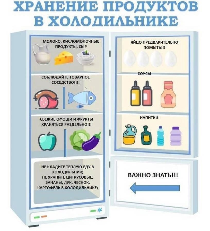 Как правильно хранить продукты в холодильнике? как хранить нельзя?