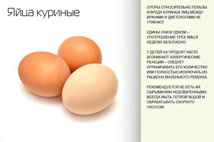 Сколько яиц можно есть в день детям, взрослым и спортсменам