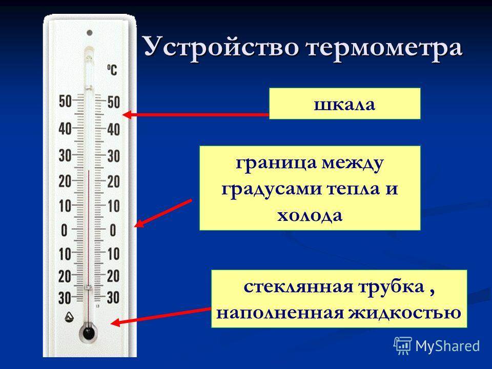 Как проверить температуру себе без градусника
