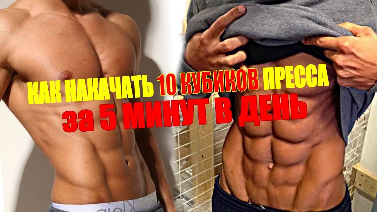 Как накачать пресс до кубиков — схема прокачки и лучшие упражнения