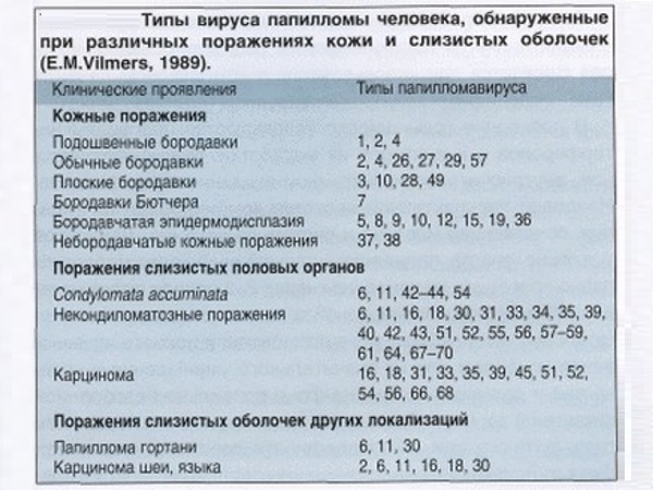 12 мифов про вирус папилломы человека