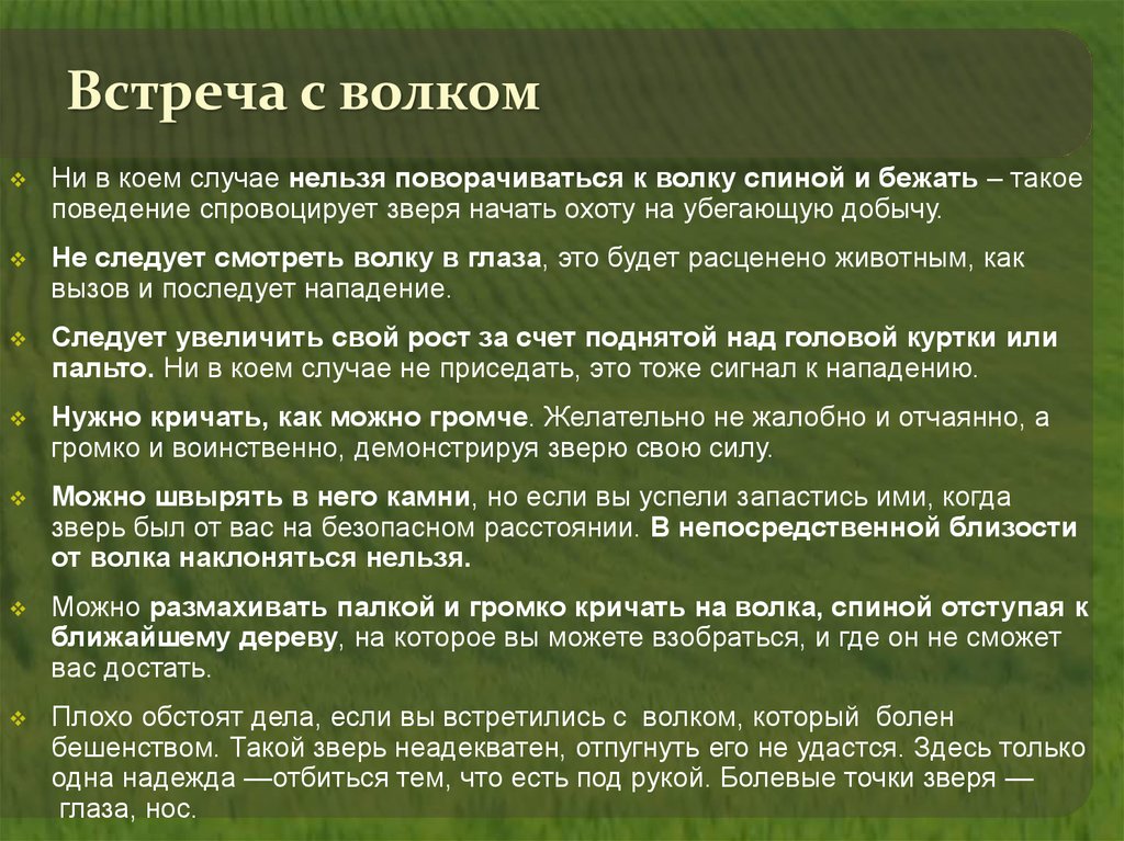 Роман на работе: правила поведения, плюсы и минусы отношений, последствия