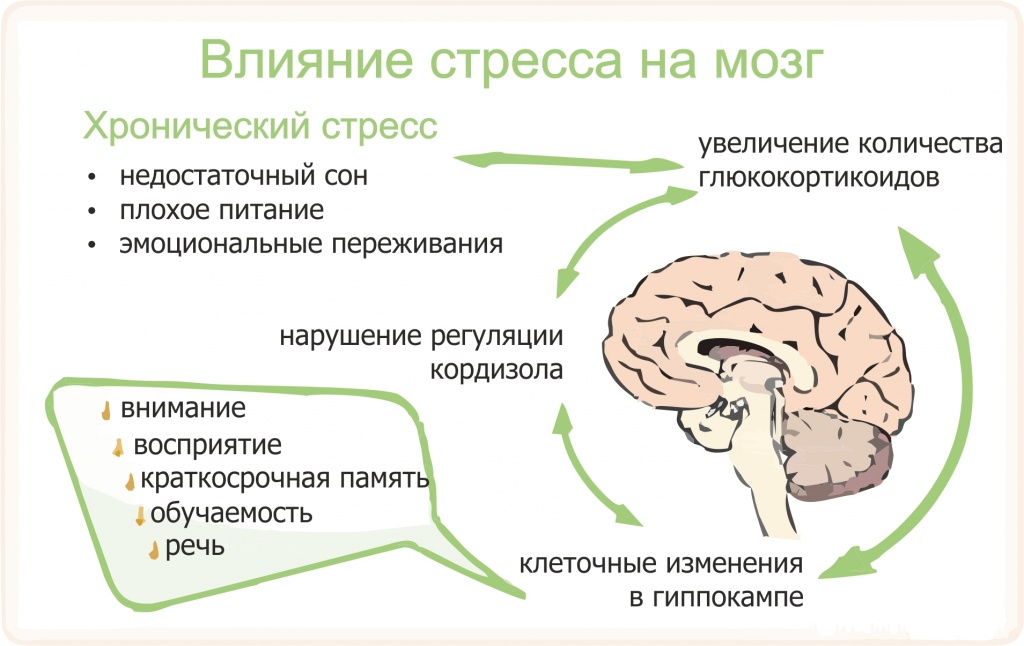 6 причин, почему мы тратим деньги в никуда и как с этим бороться | имидж