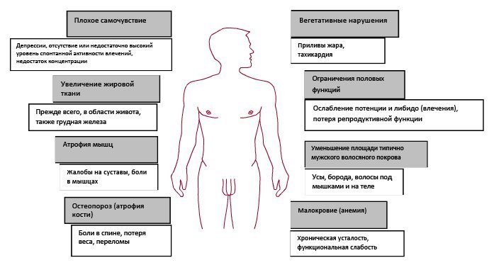 Ты думала, эрекция — это раз и навсегда В смысле единая и неповторимая А вот и нет, представь себе, она очень разная