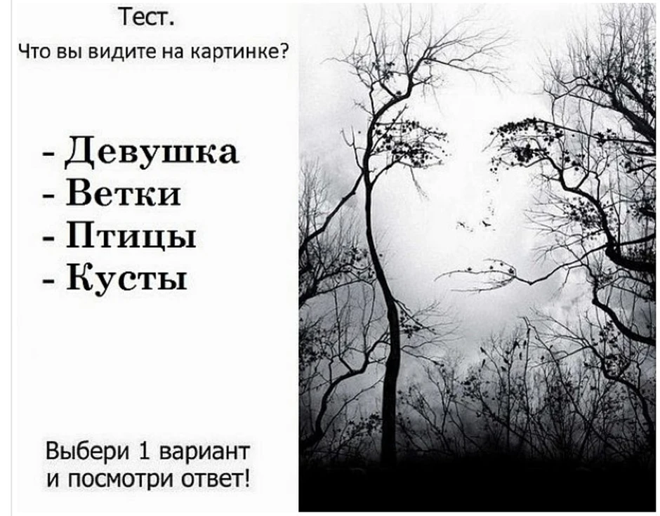 Что черты лица могут рассказать о человеке?