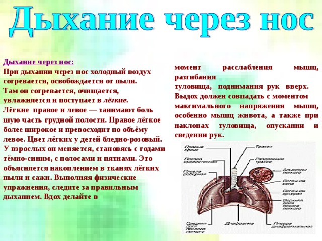 Работают ли духи с феромонами? отзывы
