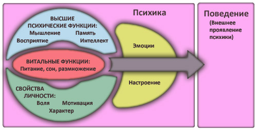 Что такое субличности в психологии: как они возникают и проявляют себя
