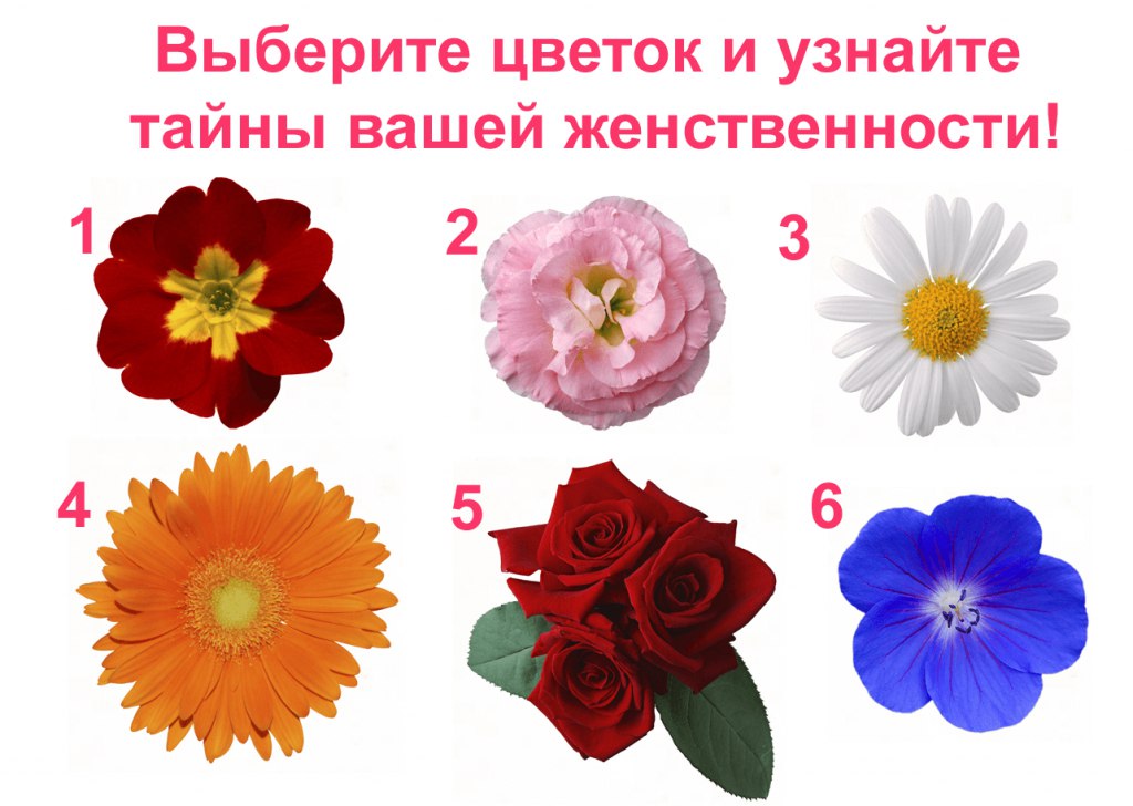 Женственность - дело тонкое Пройди наш тест и узнай, чего в тебе больше - страстного огня, милого кокетства или умения вдохновлять на подвиги И не забудь поделиться результатом