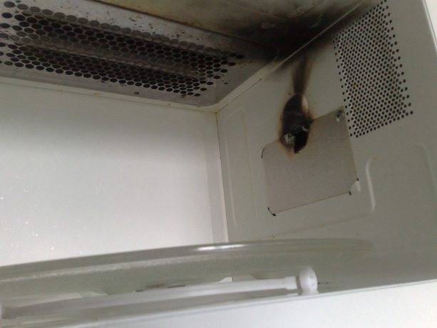 10 вещей, которые нельзя класть в микроволновку
